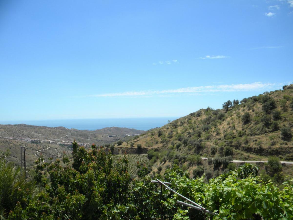 Moclinejo House Villa Málaga Kültér fotó